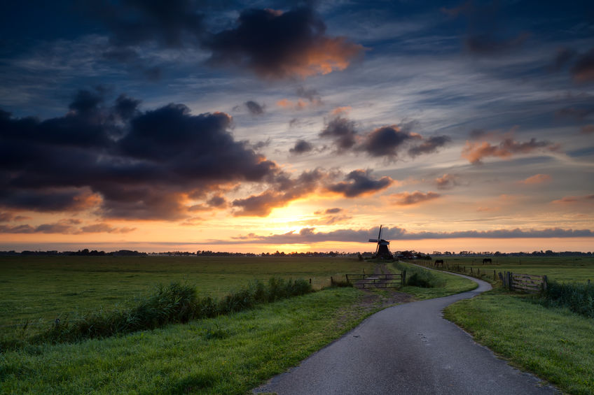 goede loopbaankeuze